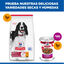363 g Hill's Science Plan Adult Estofado con vacuno y verduras lata para perros, , large indicador imagen numero 5