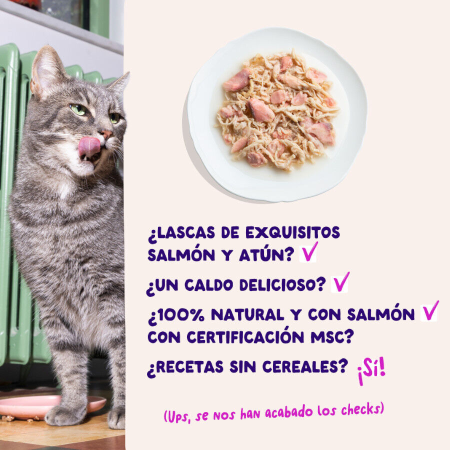70 g Edgard & Cooper Filetes de Salm&oacute;n y At&uacute;n Lata para gatos, , large Imagen numero 4