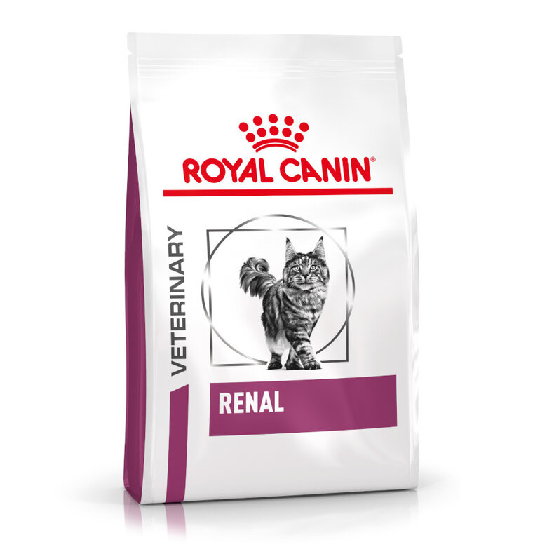 4 kg Royal Canin Veterinary Renal pienso para gatos,  Imagen numero 1 4 kg Royal Canin Veterinary Renal pienso para gatos, , large Imagen numero 1