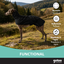 Gotoo Chaqueta Impermeable Negro para galgos, , large indicador imagen numero 6