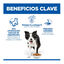 14 kg Hill's Science Plan Youthful Vitality Medium Adult Pollo&nbsp;pienso para perros, , large indicador imagen numero 3