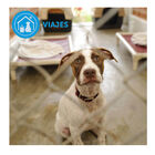 Adaptil Collar Tranquilizante para perros, , large image number null