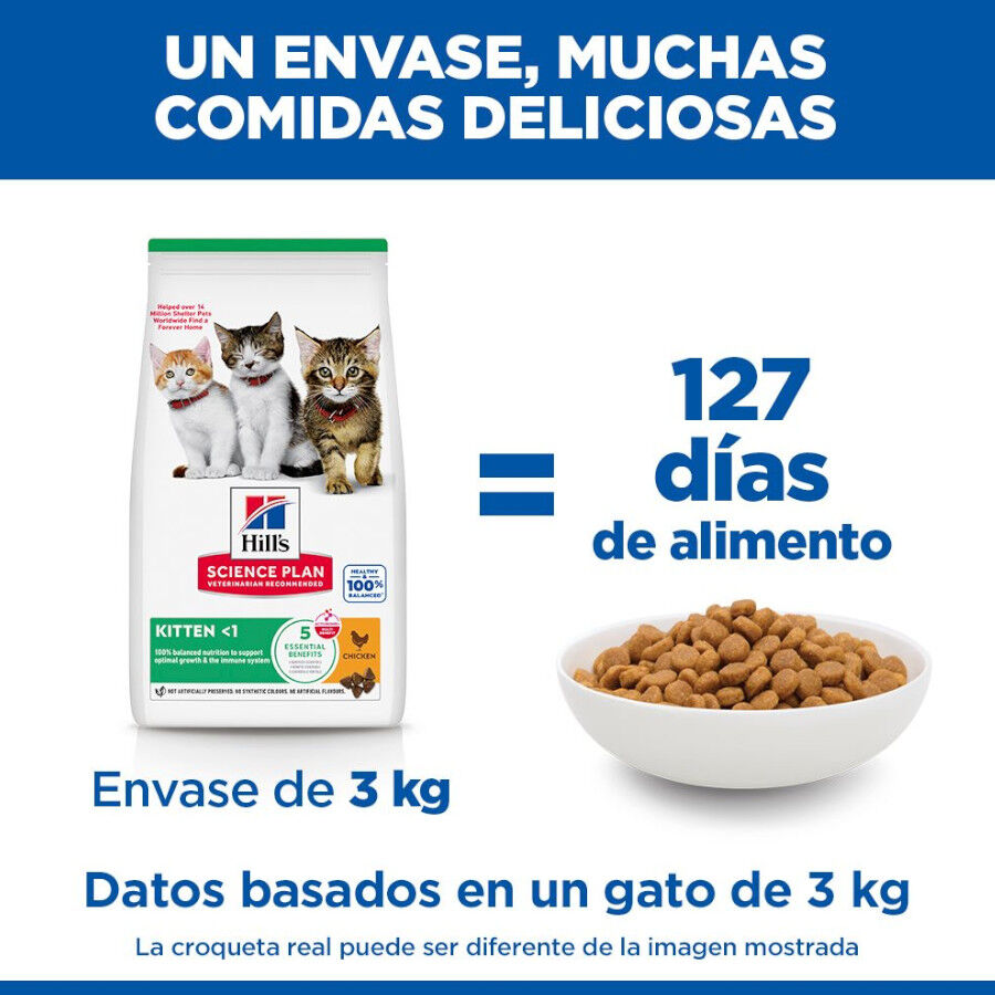 1.5 kg Hill's Science Plan Kitten Pollo pienso para gatos, , large Imagen numero 5