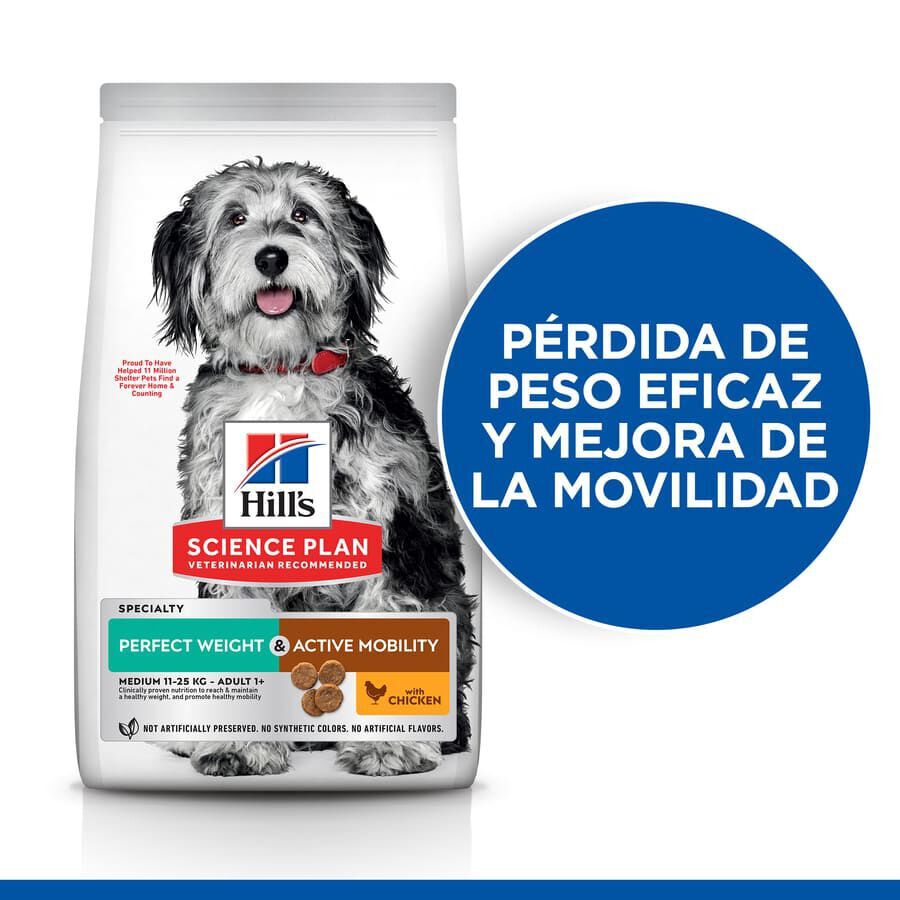 Hill&#039;s Science Plan Perfect Weight y Active Mobility pollo pienso para perros medianos thumbnail