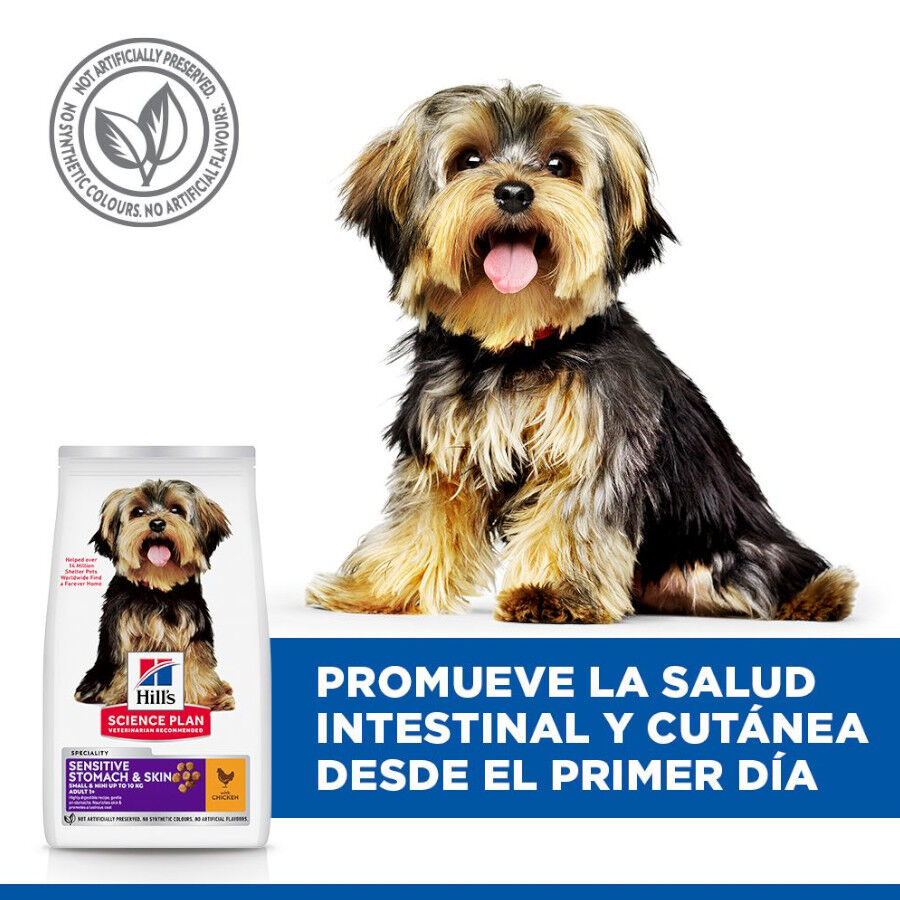 Hill&#039;s Science Plan Adult Sensitive Stomach &amp; Skin Small &amp; Mini pienso para perros de razas pequeñas y mini thumbnail