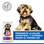 1.5 kg Hill's Science Plan Sensitive Stomach y Skin Small y Mini Pollo pienso para perros, , large indicador imagen numero 4
