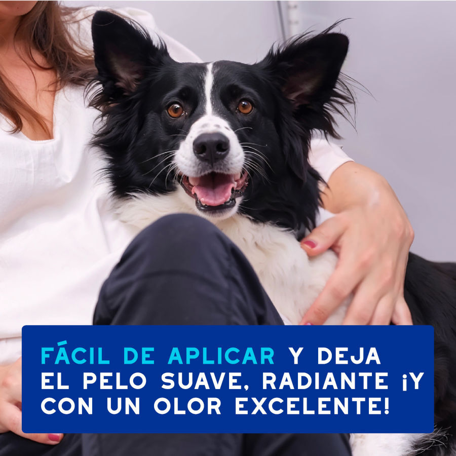 Ceva Douxo Spa Mousse Limpiador Exprés para perros thumbnail