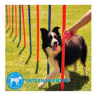 Adaptil Collar Tranquilizante para perros, , large image number null