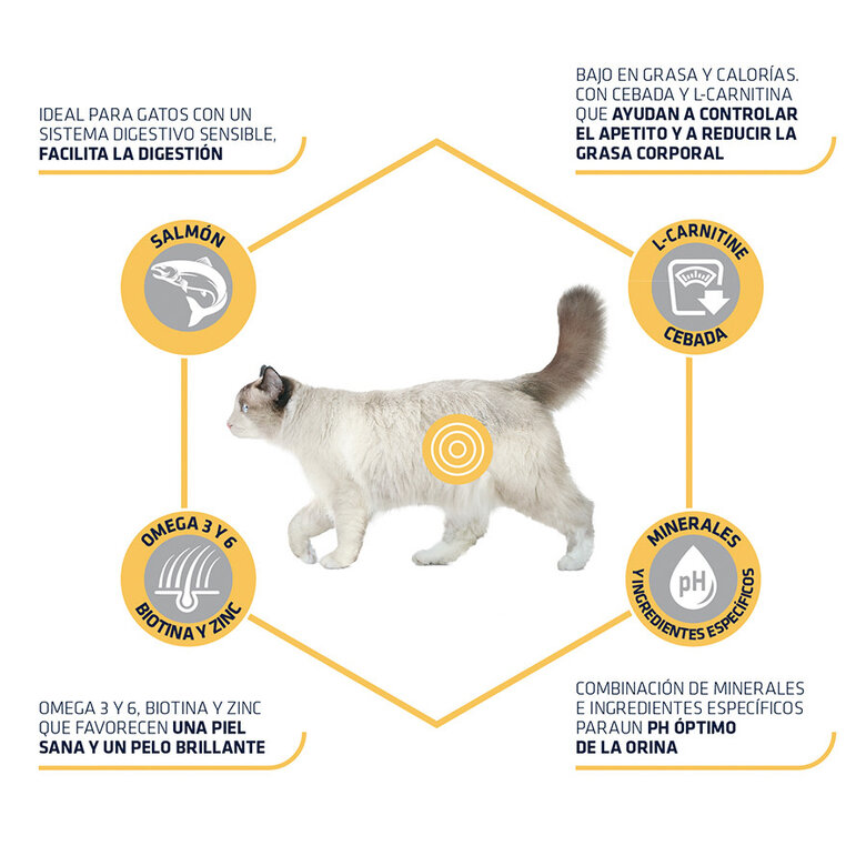 comida_gatos_advance_affinity_adult_sensitive_sterilized_benficios_ADV578110_M.jpg image number null