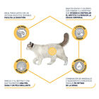 comida_gatos_advance_affinity_adult_sensitive_sterilized_benficios_ADV578110_M.jpg image number null