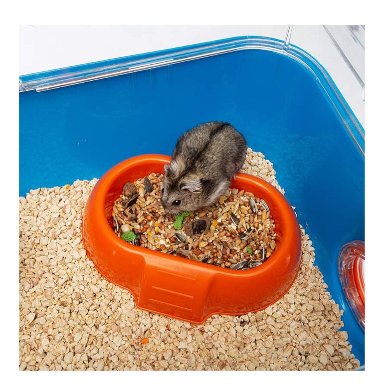 Ferplast Combi2 Complemento Jaula para hámsteres,  Imagen numero 4 Ferplast Combi2 Complemento Jaula para hámsteres, , large Imagen numero 4