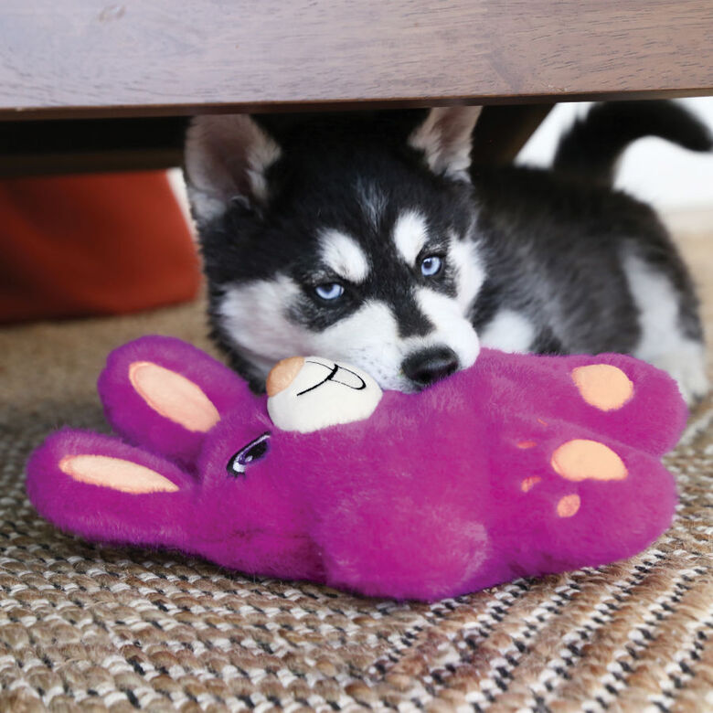 Kong Snuzzles Conejo peluche para perros thumbnail