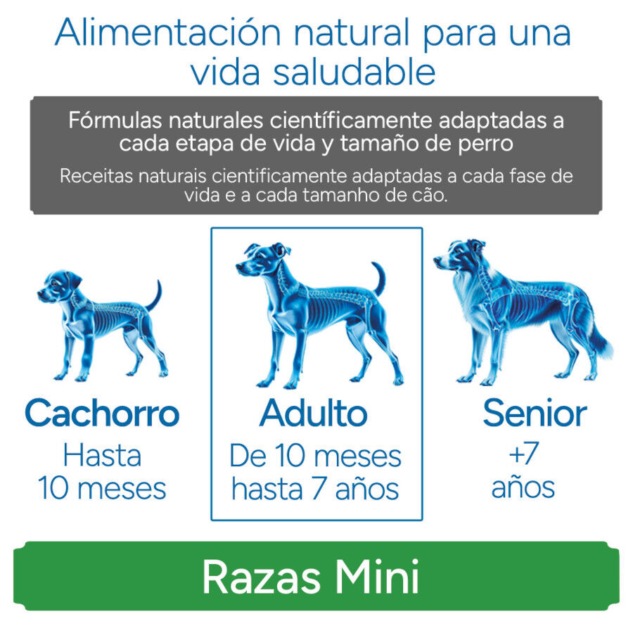 Criadores Científico Sensitive Adulto Mini Pienso Salmón para perros thumbnail