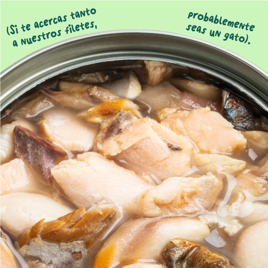 70 g Edgard & Cooper Filetes de Salm&oacute;n y Ceballa Lata para gatos, , large Imagen numero 5