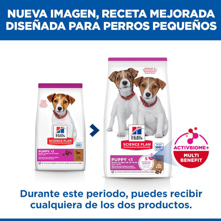 6 kg Hill's Science Plan Puppy Small y mini Cordero y arroz para perros, , large Imagen numero 3