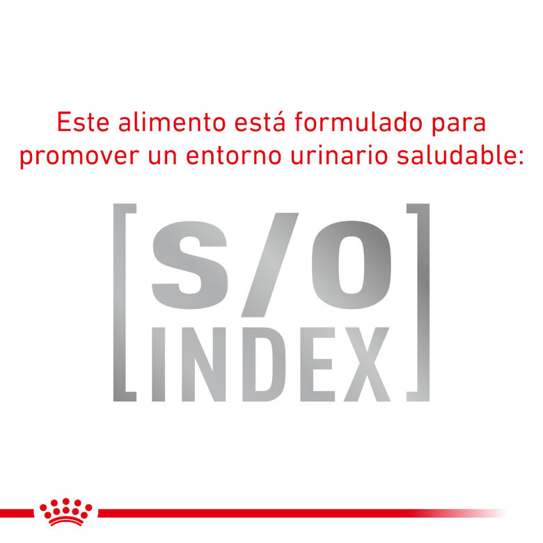Royal Canin Mature Consult Balance Paté sobre para gatos thumbnail