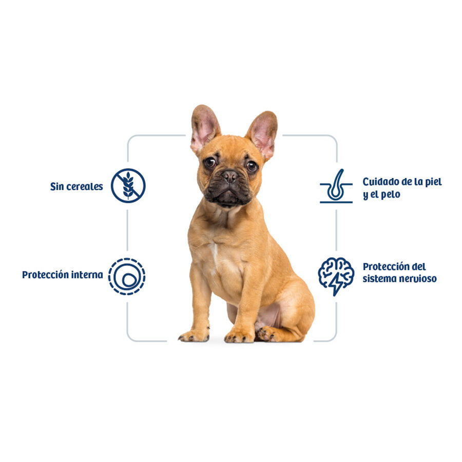 Nath Adult Mini Sensitive Pescado Blanco y Salmón pienso para perros thumbnail