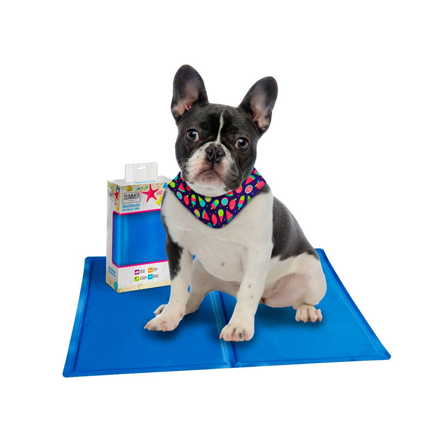 Colchoneta perro sale kiwoko