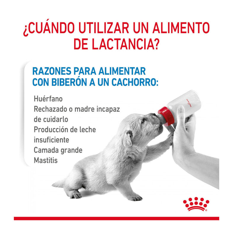 Royal Canin Leche para cachorros primer año thumbnail
