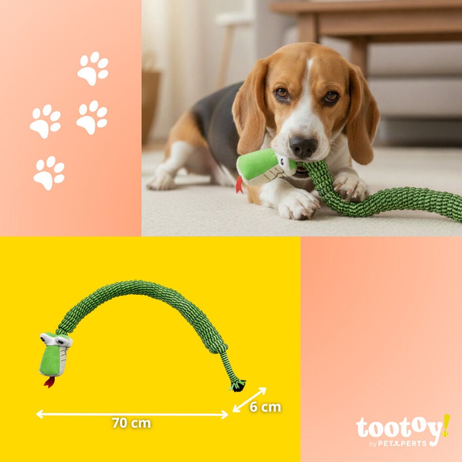 Tootoy! Serpiente Modedor de Cuerda para perros, , large Imagen numero 4