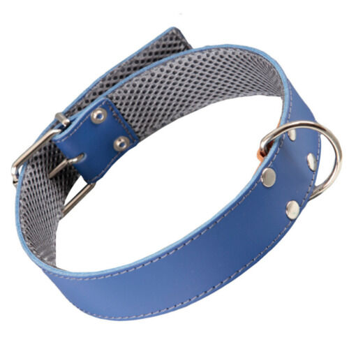 Arppe cuero azul con forro interior collar perros Imagen numero 1