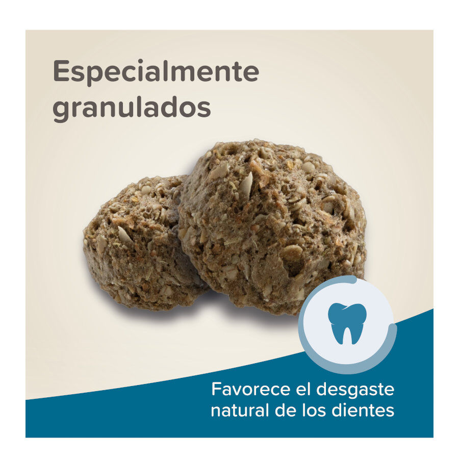 Beaphar Care+ pienso para conejos seniors, , large Imagen numero 6