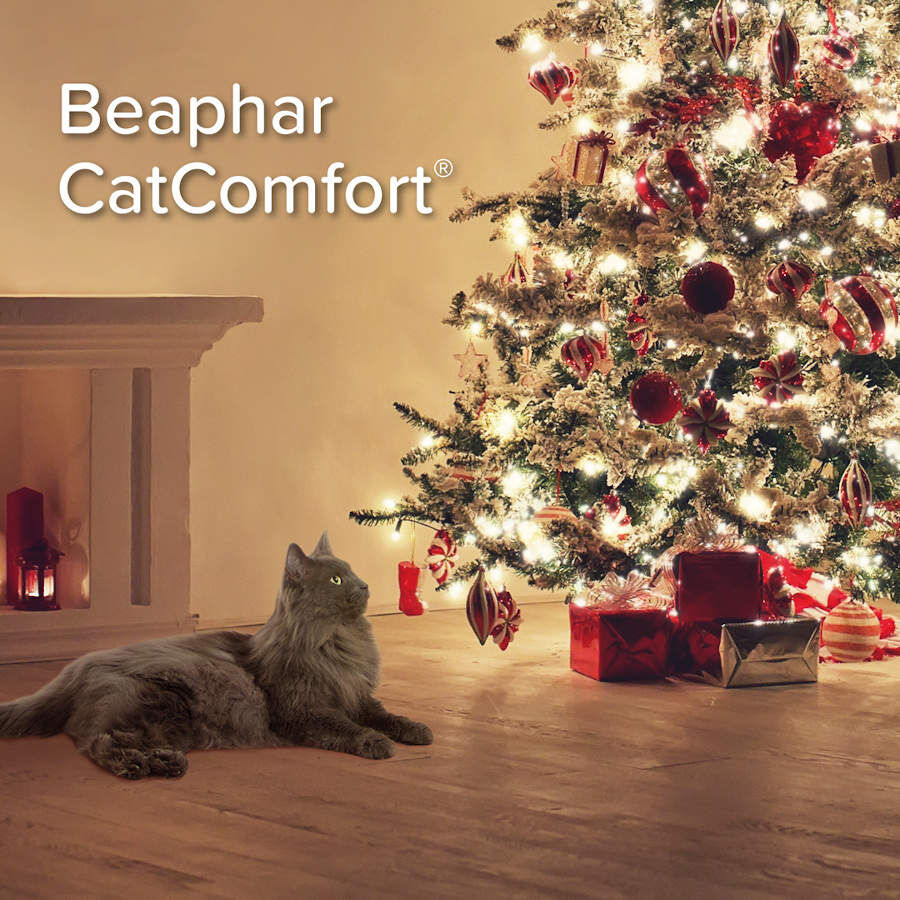 Beaphar CatComfort Relajante en Spray para el estrés ocasional en gatos thumbnail