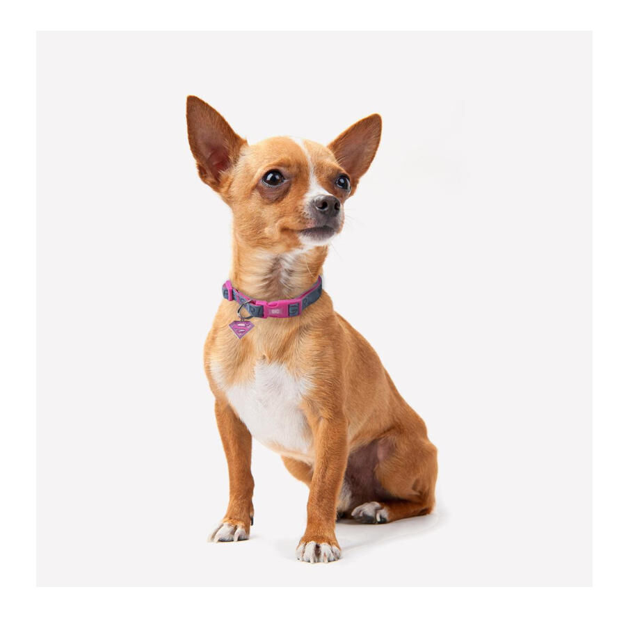 DC Comics Supergirl  Collar Estampado para perros, , large Imagen numero 2