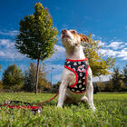 Disney Premium Mickey Arnés reversible para perros, , large image number null