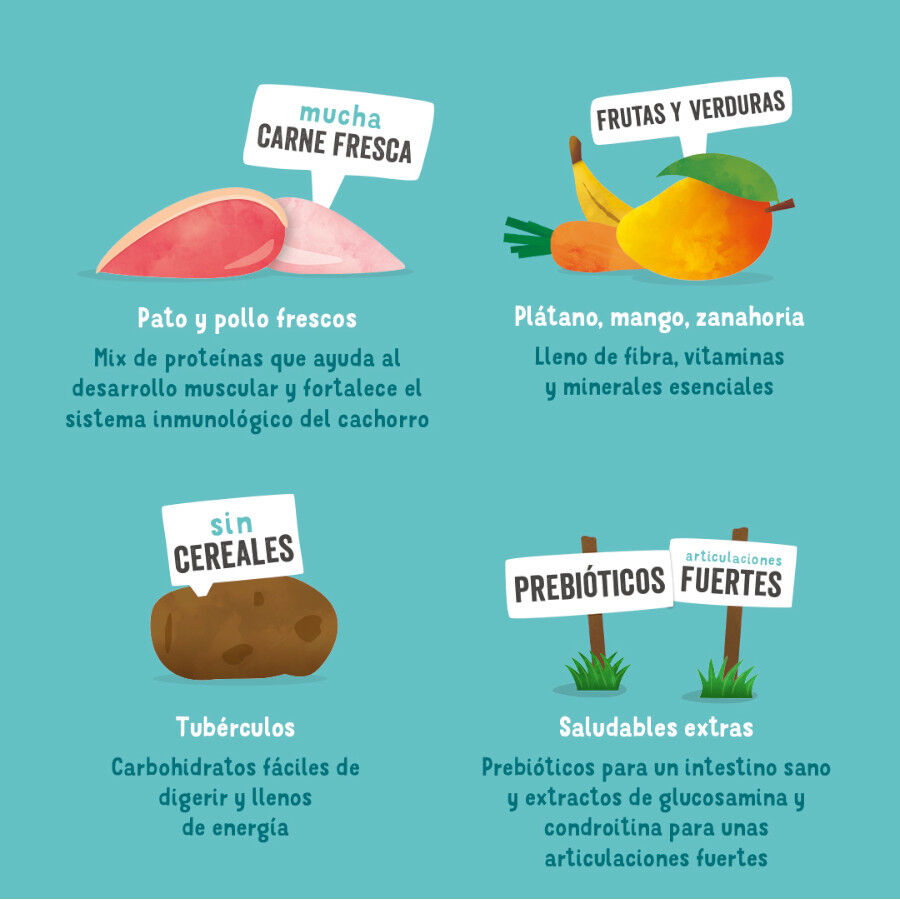 Edgard &amp; Cooper Puppy Pato y Pollo pienso para cachorros thumbnail