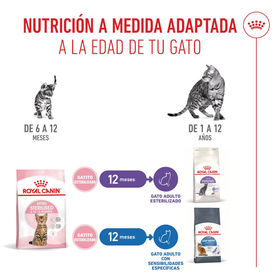 Royal Canin Kitten Sterilised pienso para gatos thumbnail