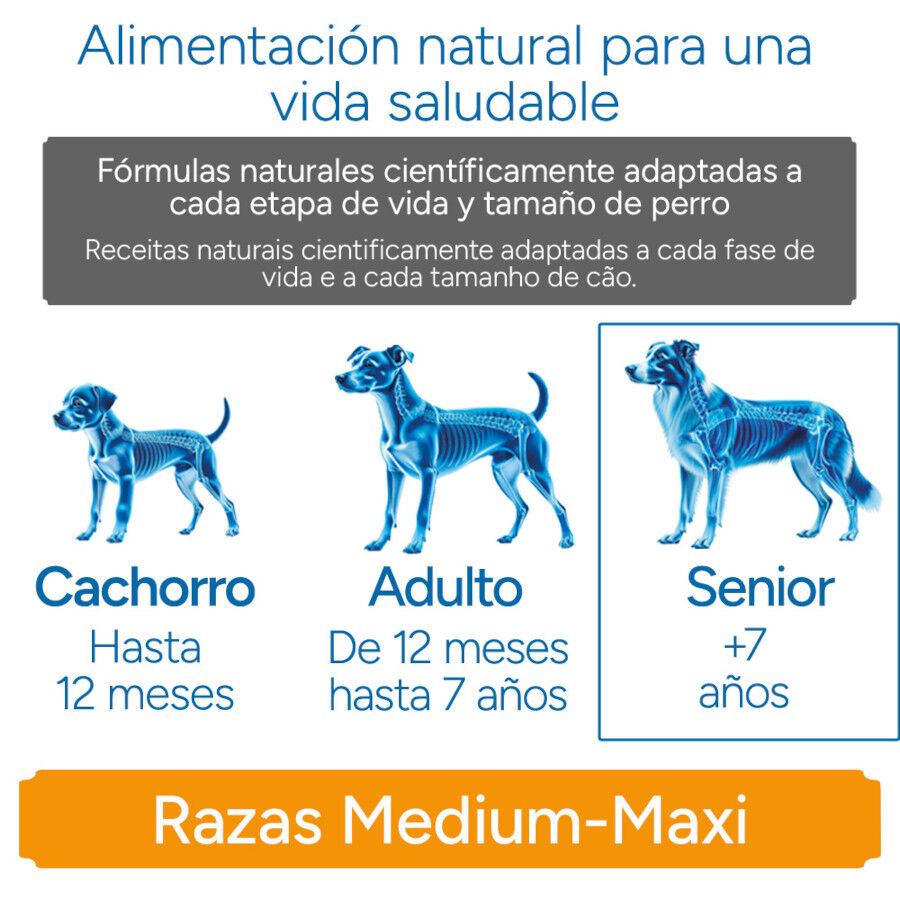 12 kg Criadores Cient&iacute;fico Senior Pienso para perros de razas medianas y grandes, , large Imagen numero 11