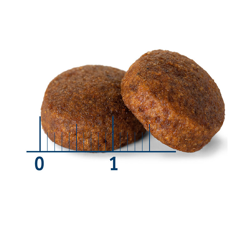 12 kg Nath Adult Maxi Pollo pienso para perros,  Imagen numero 3 12 kg Nath Adult Maxi Pollo pienso para perros, , large Imagen numero 3