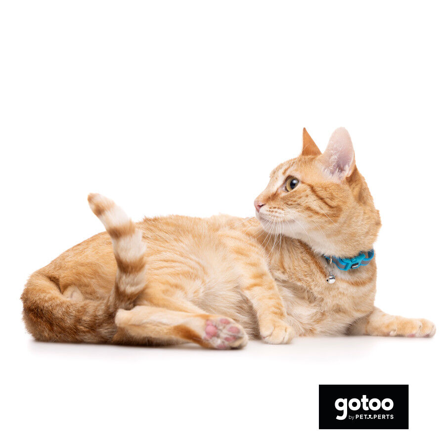 Gotoo Collar reflectante azul para gatos thumbnail