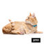 Gotoo Collar reflectante azul para gatos, , large indicador imagen numero 5