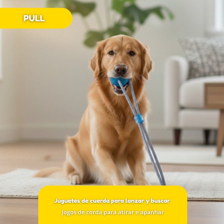 Tootoy! Mordedor de Cuerda con Pelota y Ventosa Azul para perros, , large Imagen numero 6