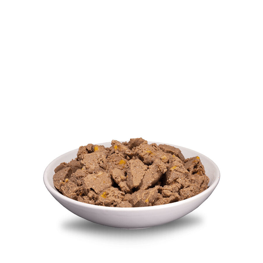 400 g ERA Sybarite Adulto At&uacute;n, Cerdo y Batata en pat&eacute; lata para perros, , large Imagen numero 2