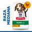18 kg (15 + 3 kg ¡gratis!) Hill's Science Plan Puppy Medium pollo pienso para perro, , large indicador imagen numero 2