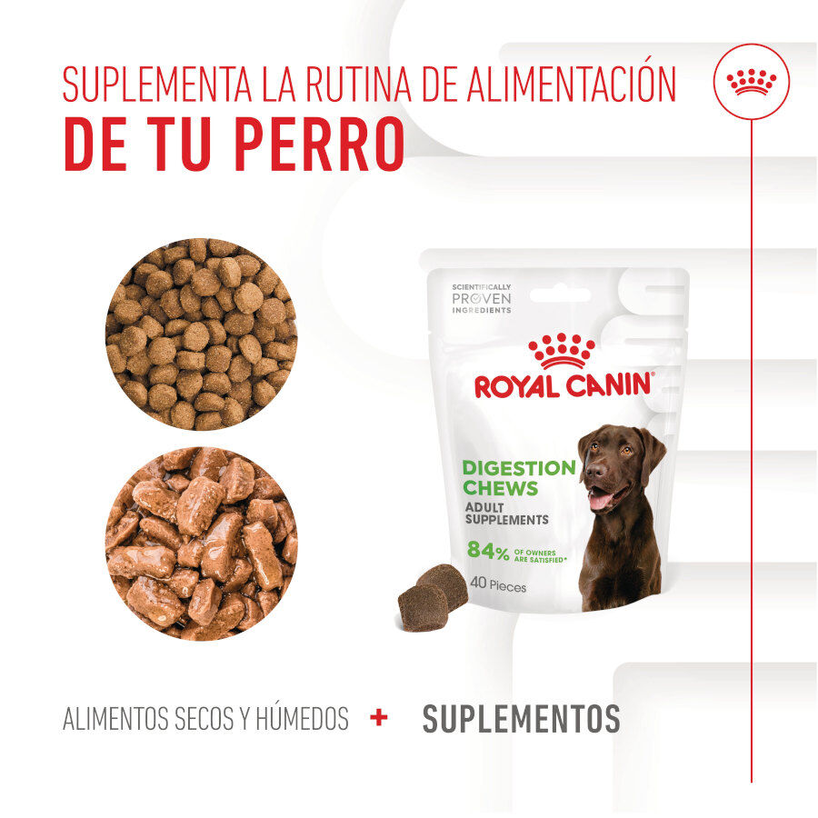 Royal Canin Digestion Chews Suplemento Nutricional para perros con sensibilidad thumbnail