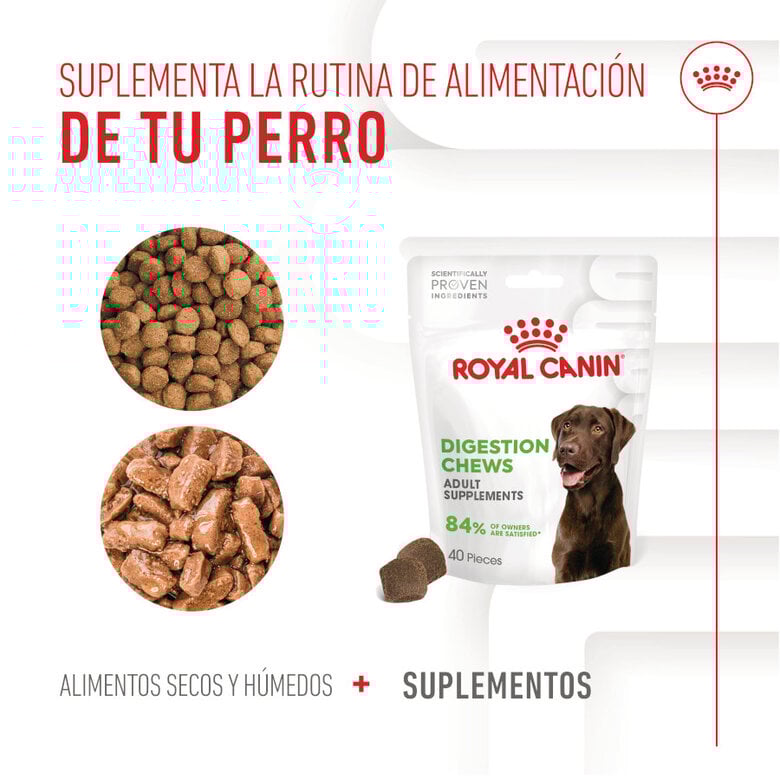 160 g Royal Canin Digestion Chews Suplemento Nutricional para perros con sensibilidad,  Imagen numero 9 160 g Royal Canin Digestion Chews Suplemento Nutricional para perros con sensibilidad, , large Imagen numero 9