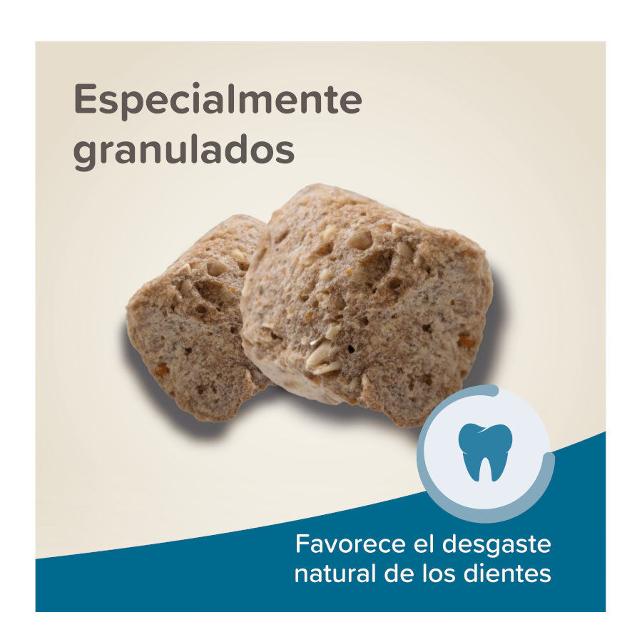 500 g Beaphar Care+ Pienso para h&aacute;msteres, , large Imagen numero 6