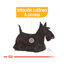 8 kg Royal Canin Dermacomfort Mini pienso para perros, , large indicador imagen numero 5