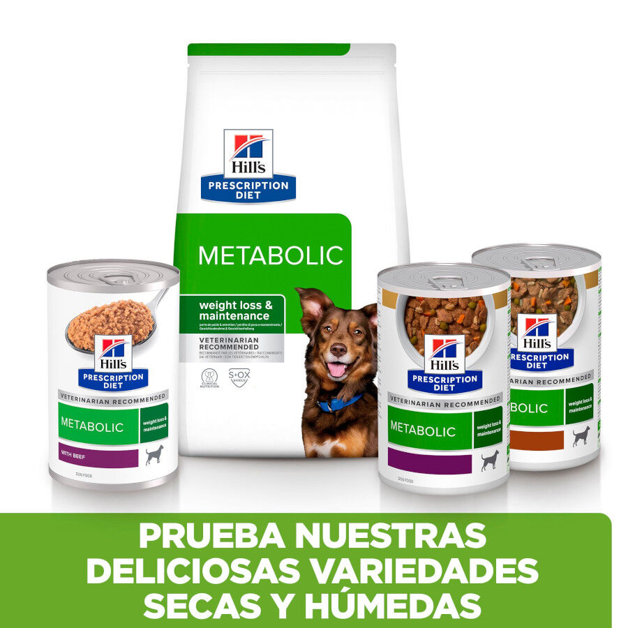 370 g Hill's Prescription Diet Metabolic Vacuno y Verduras lata para perros, , large Imagen numero 9