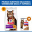 1.5 kg Hill's Adult Science Plan Sensitive Stomach Pollo pienso para gatos, , large indicador imagen numero 7