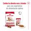 15 kg Royal Canin Medium 10+ Ageing pienso para perros, , large indicador imagen numero 10