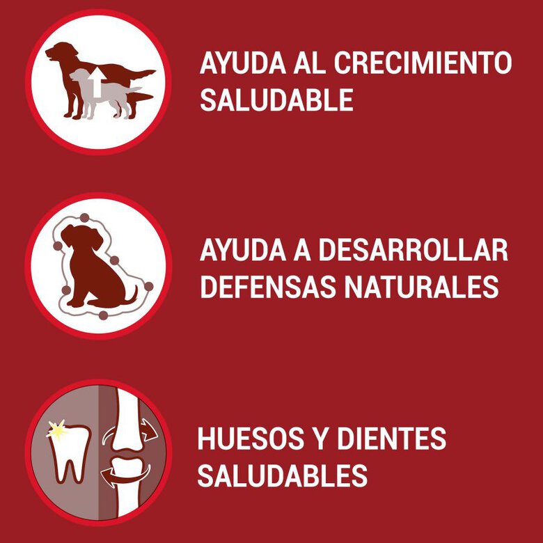 1.5 kg Purina One Junior Bifensis Pollo pienso para perros,  Imagen numero 2 1.5 kg Purina One Junior Bifensis Pollo pienso para perros, , large Imagen numero 2