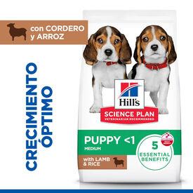 Hill's Science Plan Puppy Medium Cordero y arroz Pienso para perros