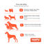 Tootoy! Chew Multi Ring Azul Mordedor de cuerda para cachorros, , large indicador imagen numero 4