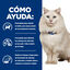 3 kg Hill's Prescription Diet Urinary Care c/d pescado azul pienso para gatos, , large indicador imagen numero 5