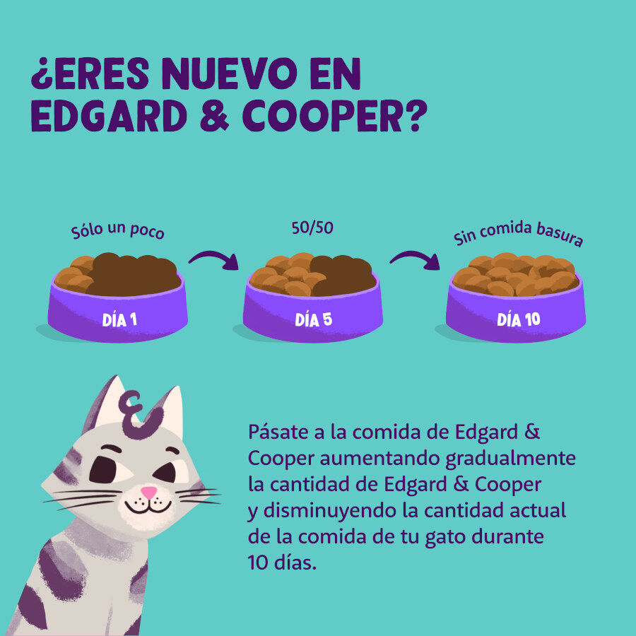 2 kg Edgard & Cooper Senior Pollo y Pavo pienso para gatos, , large Imagen numero 6